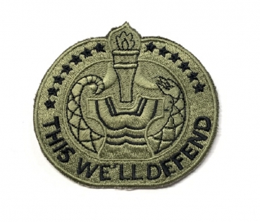 US ARMY  " This Well Defend " OCP Aufnäher