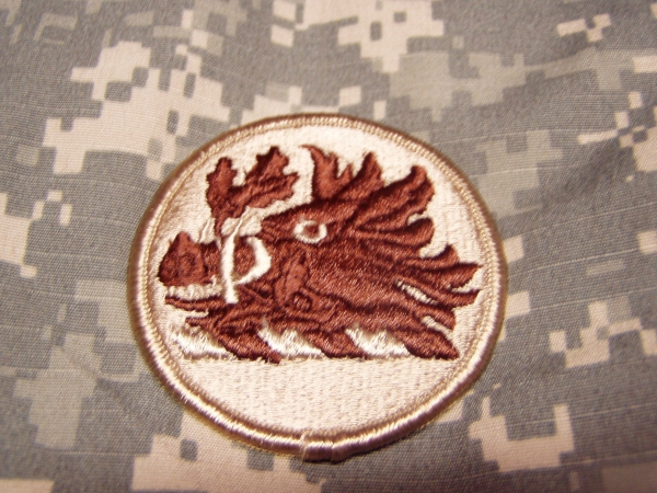 Georgia ARNG National Guard DCU Uniform patch Abzeichen