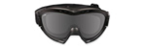 Wiley X NERVE GOGGLE Smoke Clear Brille schwarz