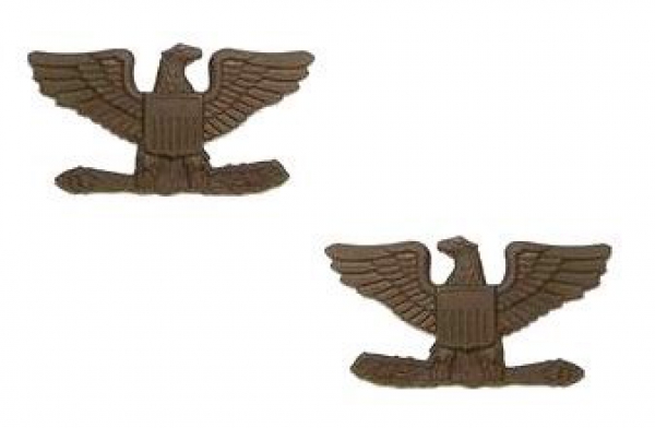 Colonel Offizier US Army USMC USAF Insignia Abzeichen subdued