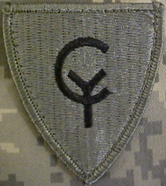 38th Infantry Division ACU Patch foliage green