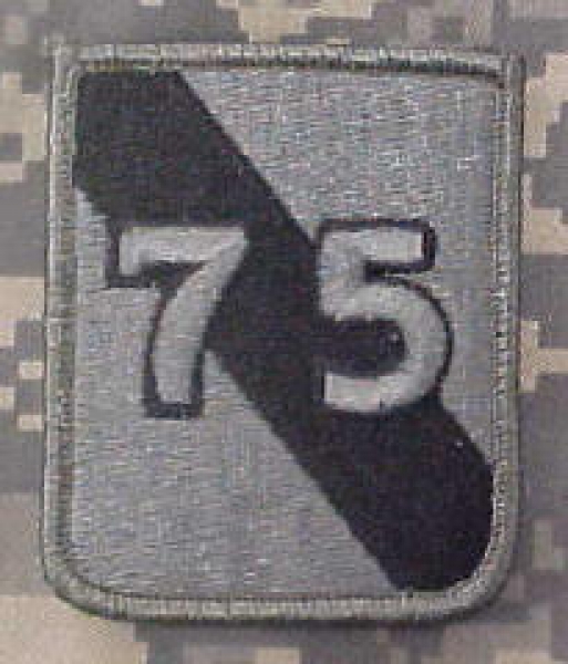 75th Infantry Division ACU Patch - foliage green
