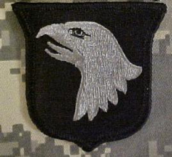 101th Division ACU Patch foliage green