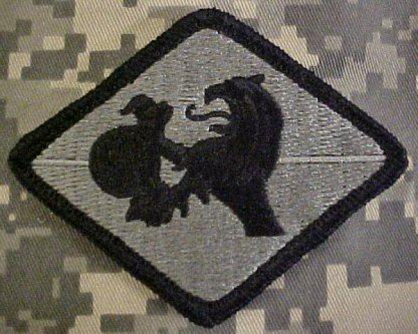 266th Finance Center ACU Patch - Foliage Green