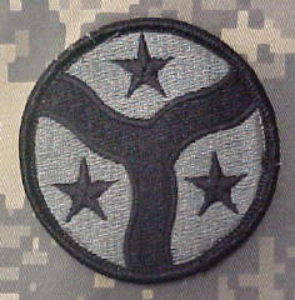 278th ACR Armored Cavalry Regiment ACU Patch