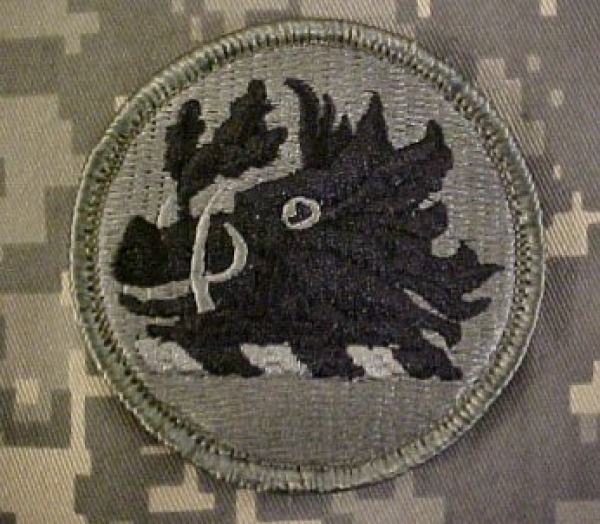 Georgia National Guard ACU Patch