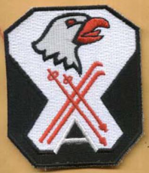 101st Mountain Division patch