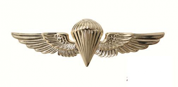 U.S.N. / U.S.M.C. PARAWING PIN