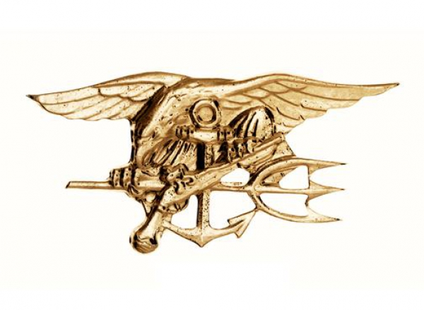 US NAVY SEALS PIN