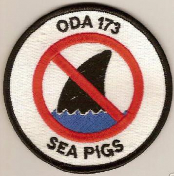 ODA 173 A Company 3rd Bn 1st SFG Group