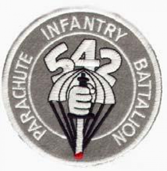 542nd Parachute Infantry Battalion