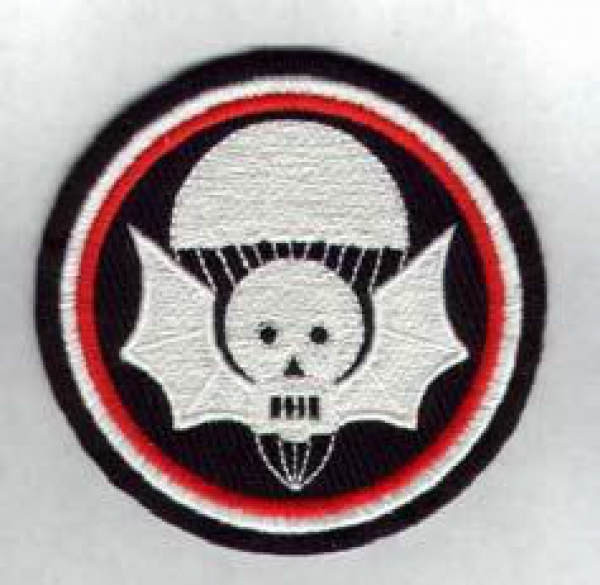 502nd Airborne Infantry Regiment
