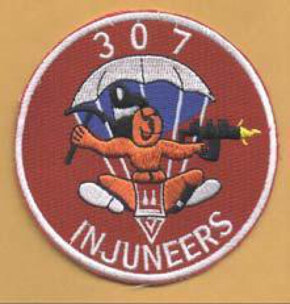 307th Airborne Infantry INJUNEERS