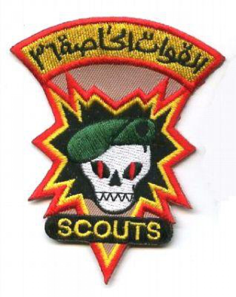 KANDAHAR AFGHANISTAN ADVISOR SCOUTS OIF OEF CTU PATCH