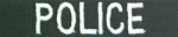 US POLICE Polizei VELCRO Name tape Namensstreifen Nickname