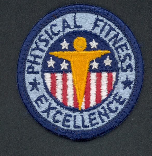 US ARMY PFT Physikal Fitness Excelenc patch Abzeichen AufnÃ¤her