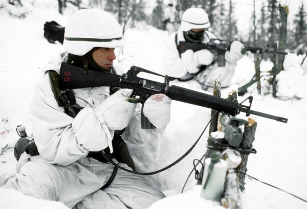 US Army Schneetarn Parka