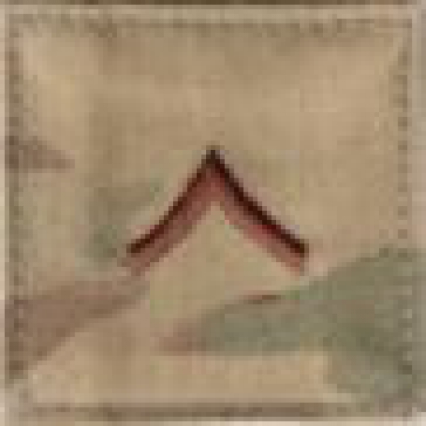 PRIVATE MultiCam VELCRO Abzeichen