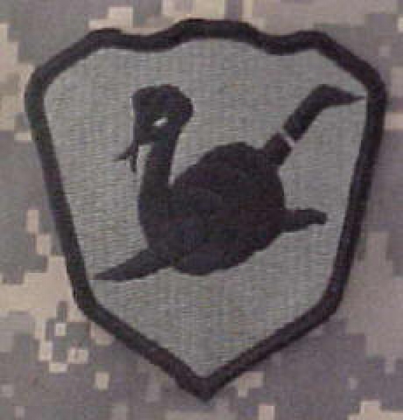 258th Military Police Brigade MP ACU patch