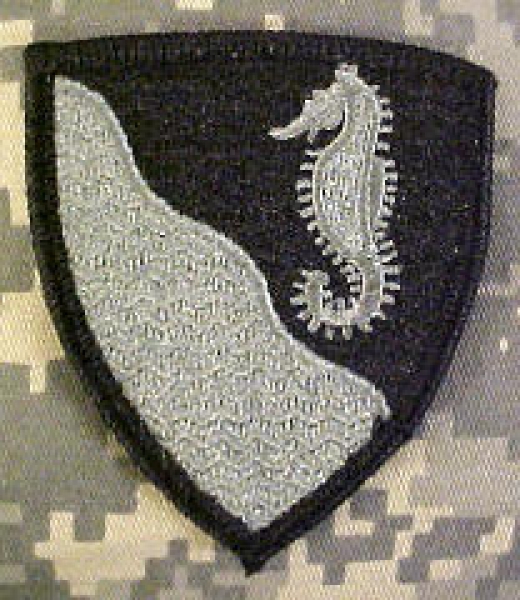 US Army 36th Engineer Group ACU patch
