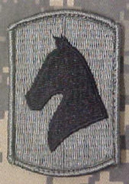 138th Field Artillery Brigade ACU patch