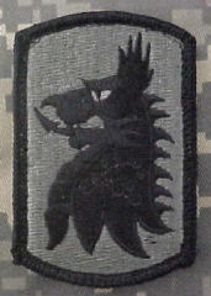 455th Chemical Brigade ACU patch