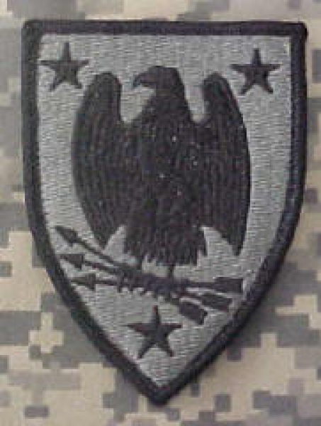 Selective Service ACU patch
