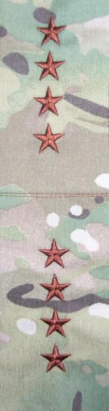 GENERAL O-10 MultiCam™ Sew On Abzeichen