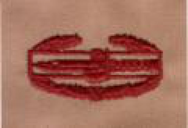 US Army COMBAT ACTION BADGE SEW-ON INSIGNIA Desert tan