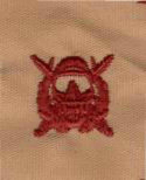 US Army SPECIAL OPERATIONS DIVER SEW-ON INSIGNIA Desert tan