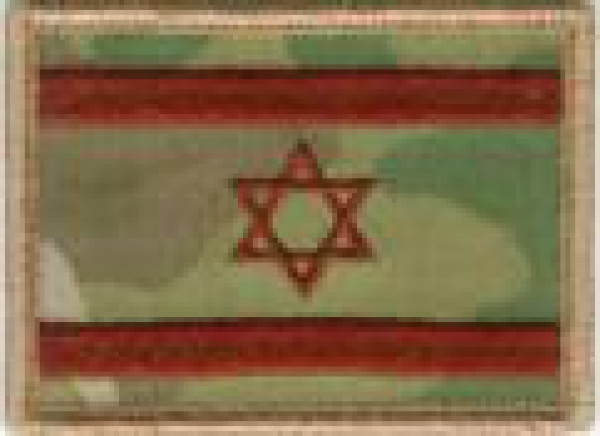 ISRAELI FLAGS MULTICAM - Abzeichen