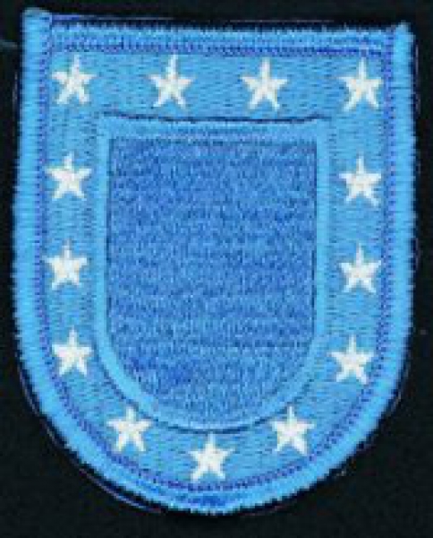 US Army Beret flash