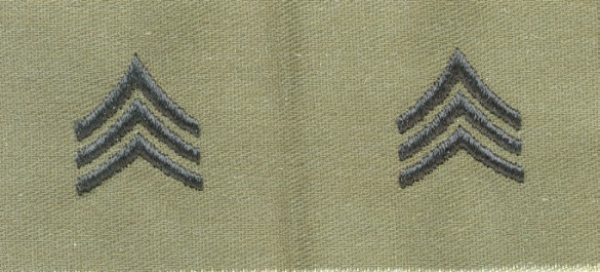 US ARMY SEW On RANK Uniform Dienstgradabzeichen oliv