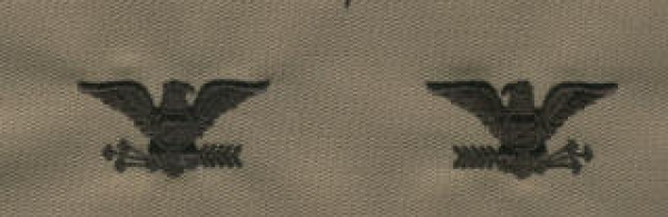 US ARMY SEW On RANK Uniform Dienstgradabzeichen Desert tan