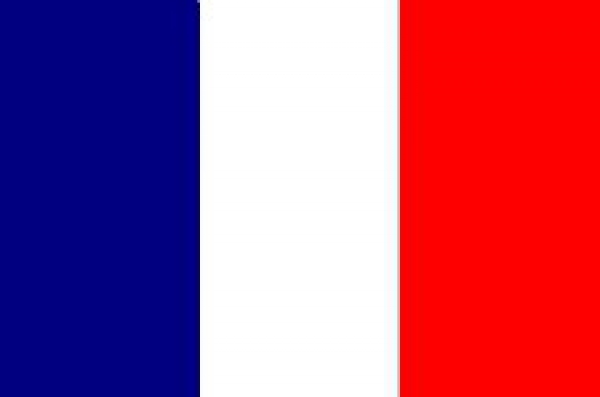 FRENCH FLAGS INFRARED FULL COLOR Velcro patch