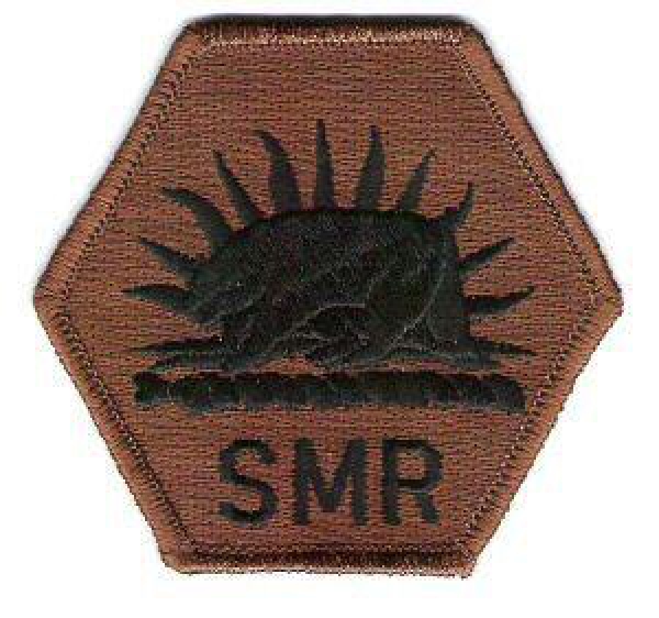 California State Military Reserve Army Nationalgarde