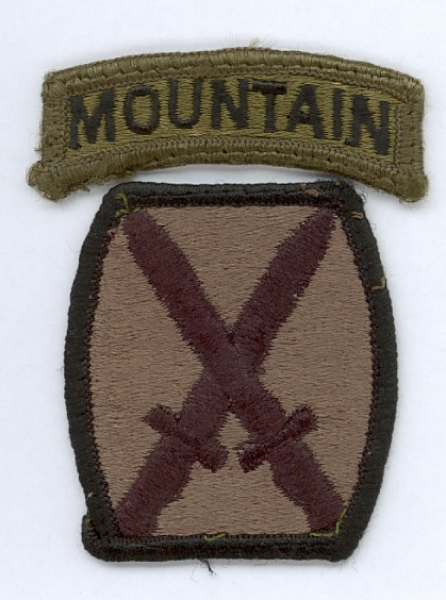 10th Mountain Division US Army BDU Abzeichen patch