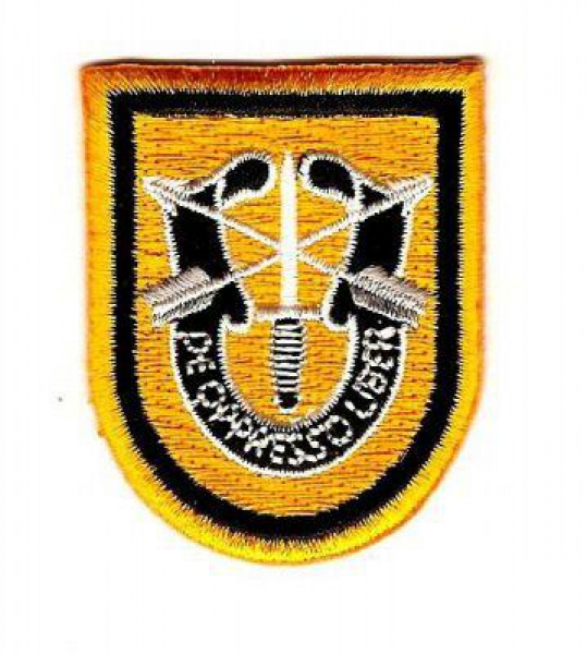 1st SpecForce Group SFG Patch