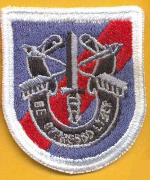 20th SFG Airborne ODA beret DUI Flash