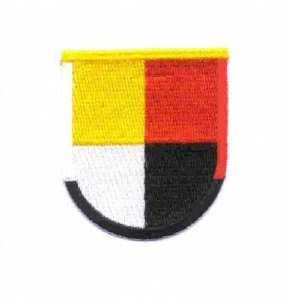 3rd SFG 1963-69 Patch Beret Flash