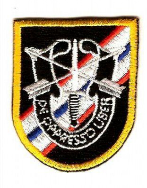 46th Special Forces Group SFG Patch Flash