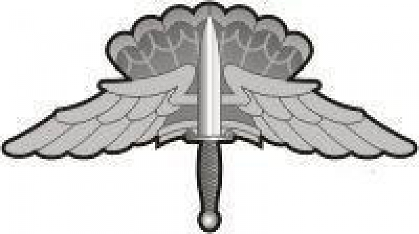 HALO Basic Badge Patch USAF Air Force