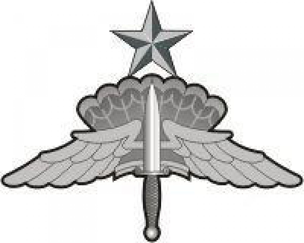 HALO Senior Badge Patch Uniform Abzeichen