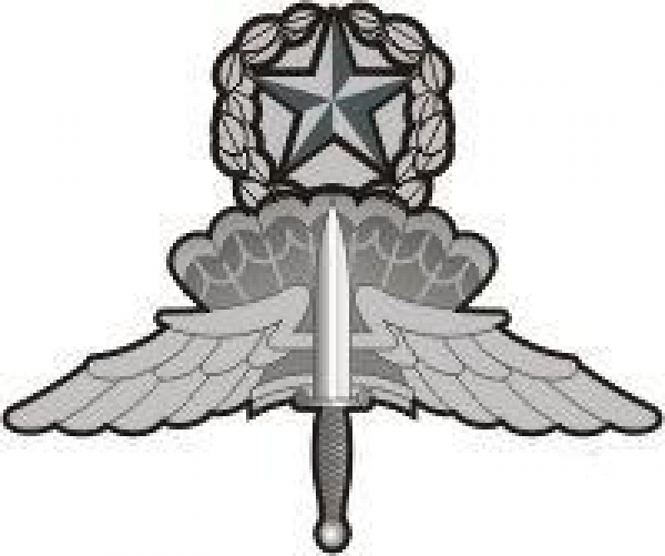 HALO Master Badge Patch Uniform Abzeichen