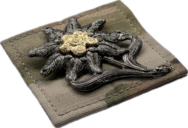 Bundeswehr BW EDELWEIß Gebirgsjäger Multicam Velcro Abzeichen