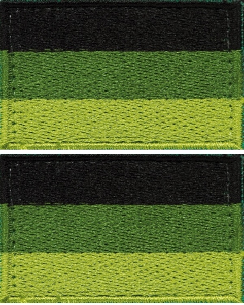 Bundeswehr BW 1 Paar Deutschland GERMAN Velcro Fahne oliv