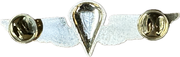 U.S.N. / U.S.M.C. PARAWING PIN