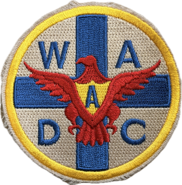 US ARMY WADC AMBULANCE DRIVER WWII