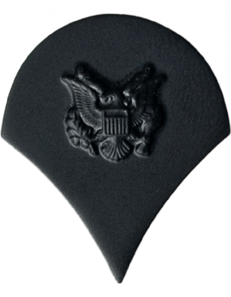 US Army Specialist Rank Insignia BDU Abzeichen subdued
