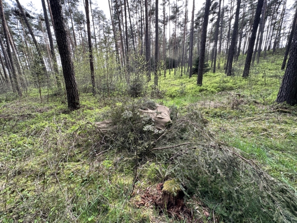 Sniper Ghillie Netzdecke 2 x 3 M Oliv Green